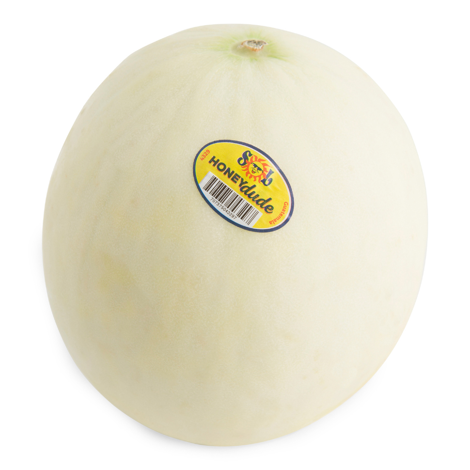 image of Melon Honeydew Fresh