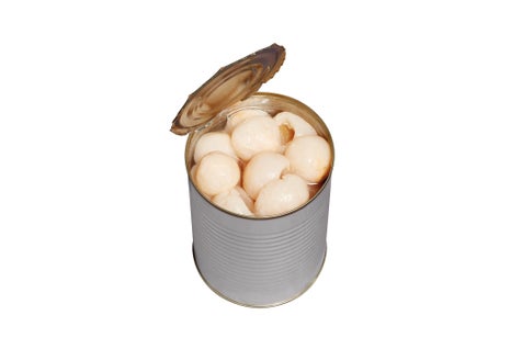 Litchi
