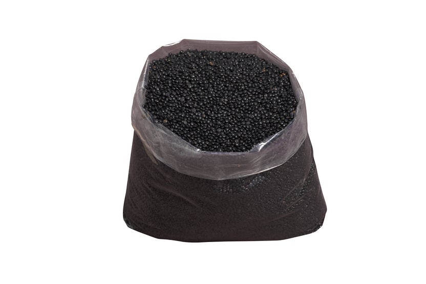 Lentille noire Beluga