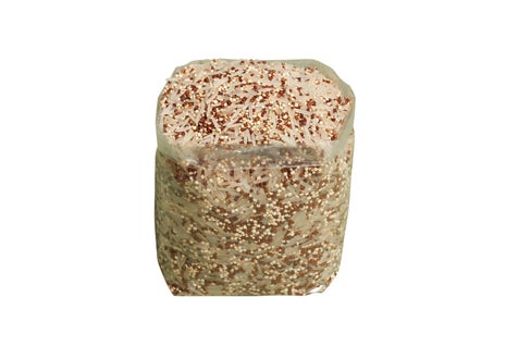 Riz des deux mondes