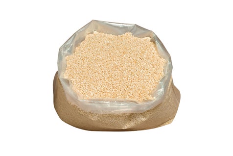 Graine de sésame blanc