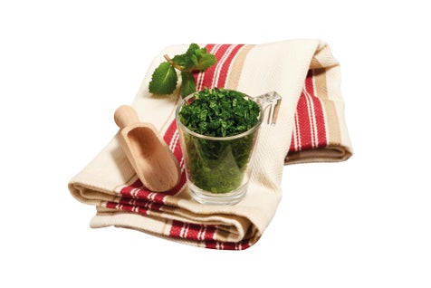 Menthe