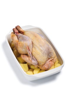 Pintade VF