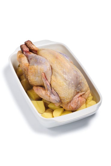 Pintade VF