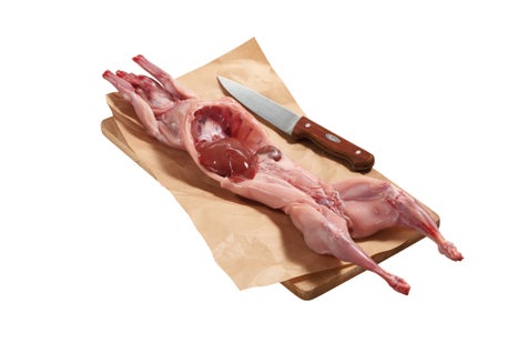 Lapin avec tête LF