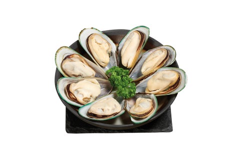 Moule 1/2 coquille de Nouvelle Zélande