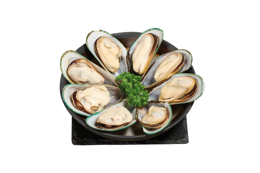 Moule 1/2 coquille de Nouvelle Zélande