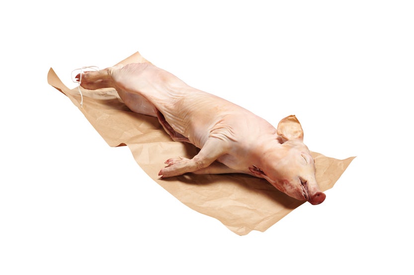 Porcelet