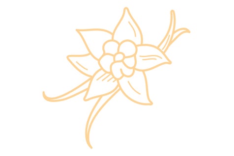 Crème glacée vanille Bourbon