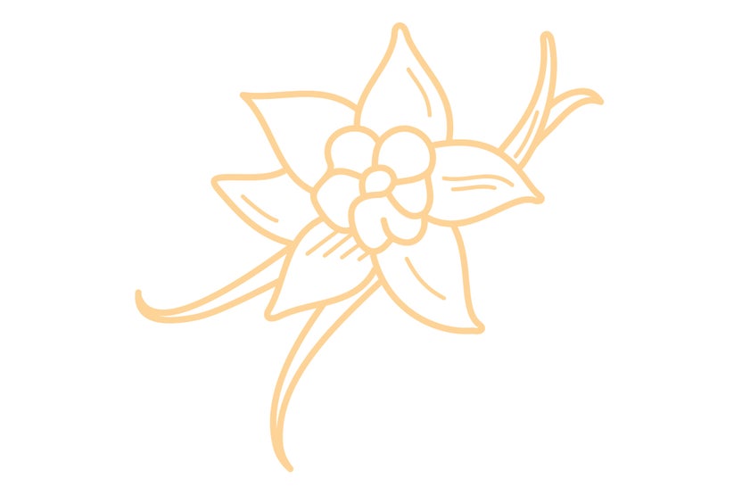 Crème glacée vanille Bourbon