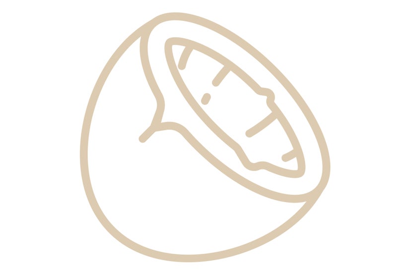 Glace à la noix de coco et coco râpée