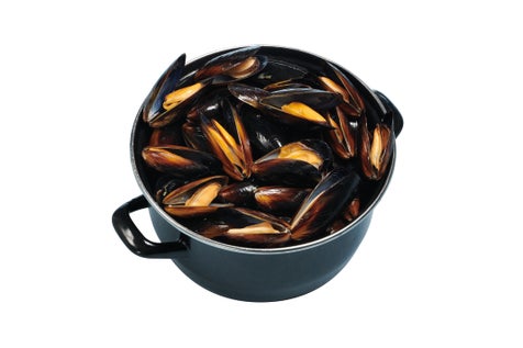 Moule de pleine eau cuite